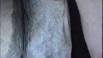 Mare's cunt is about to be wrecked on camera