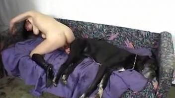 Voluptuous ass chick savoring intense dick ride for the lens