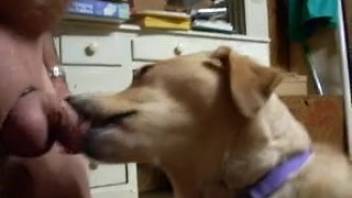 Guy's cock being sucked by a hot creature