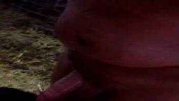 Enthusiastic barnyard creature performing oral on a man's limp penis