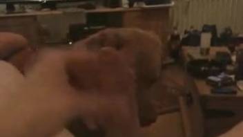 First-person view clip featuring a guy who enjoys screwing beasts