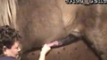 Mare-loving curly-haired zoophile jerks a horse's cock