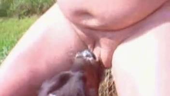 Cow performing deep oral on a dude's dick in front of the camera