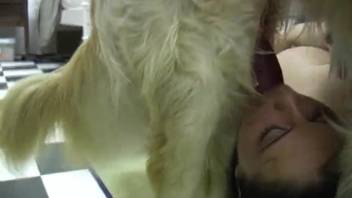 Brunette animal enthusiast gets roughly penetrated by alluring canine