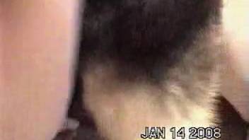 Intense sex film featuring a narrow vagina animal lover