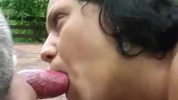 Dark-haired woman idolizes a canine's penis in a sizzling adult clip