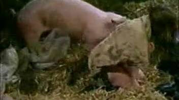 Attractive ladies screwing the identical swine in front of the camera