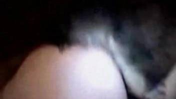 Sexy animals enjoying violent sex in a vintage video