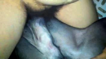 Guy pounding a canine's narrow opening with his fuzzy dick