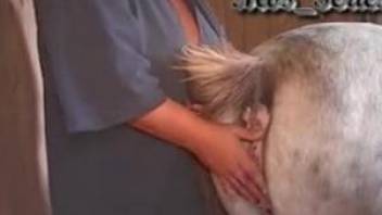 Chesty bitch gets to bury her face in a horse's pussy