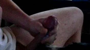 Aroused guy masturbates vigorously and ejaculates intensely while allowing the dog to lick his penis