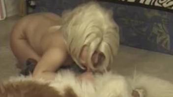 Wig-wearing blonde sucking on a pooch's pretty penis