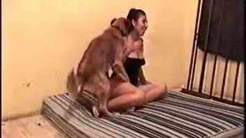 Sun-kissed mature woman being pounded doggy-style by a canine