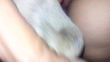 Intimate homemade bestiality scene with a guy receiving deep canine penetration