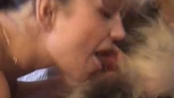 Dark-haired stud roughly bangs a slender slut in doggystyle position