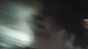 Homemade bestiality video satisfying the bare homosexual youth