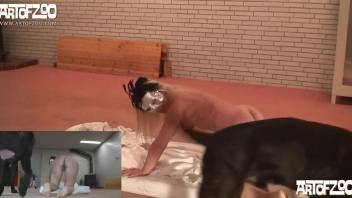 Masked babe with big boobs fucked on all fours by a dog