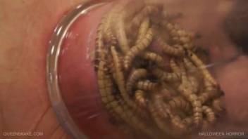 Attractive blonde aroused by worms in filthy bestiality fetish
