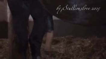 Massive cock from the stud sends the cameraman into a frenzy while shooting the entire action