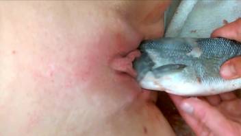 Stinky pussy getting fucked with a dead fish
