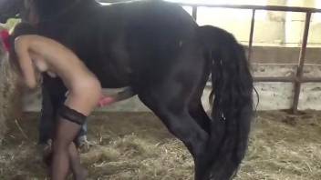 Aroused babe in sexy stockings, nude horse porn in dirty scenes