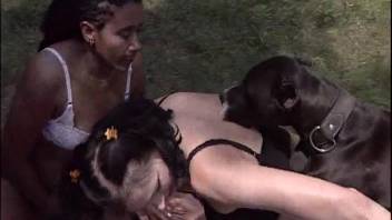 Aroused mature women get thoroughly pleasured by a shaggy canine outdoors