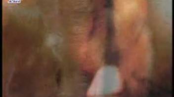 Guy bangs the horse in filthy porn scene on webcam