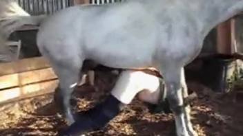 Stallion ravages an older woman's vagina in amateur bestiality scenes