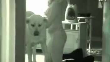 Cute babe with a huge butt gets screwed by a dog in zoo-themed porn