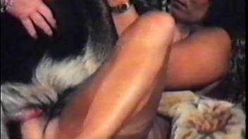 Amazing dog porn in close-up angle with a bestiality slut