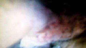 Guy's bushy dick thrusting into that snug tiny opening