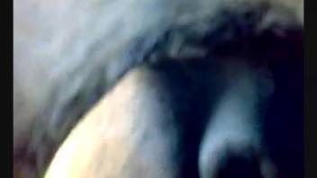 Steamy intimate banging sequence featuring a sexy guy and his victim