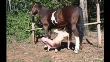 Stunning blonde with shades eagerly performs oral sex on a massive penis with passion.