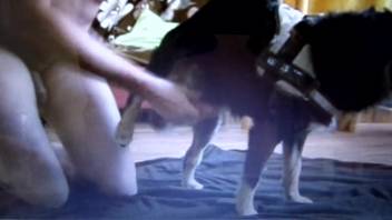 Naughty pup with a stiff dick savoring a homosexual tug job