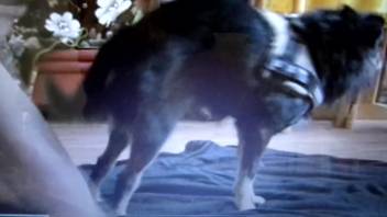Sexy beast relishing an awesome handjob on camera