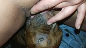POV cunnilingus video featuring an incredibly sexy creature