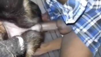 Guy's gorgeous cock gets to stretch an animal's hole