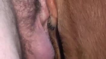 Guy pounding that snug tiny opening doggy style