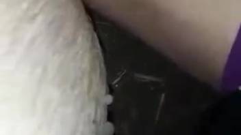 Guy flashing his thick cock while banging a hot vixen