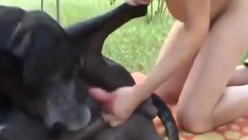 Pregnant lady with a wet hole fucking a black dog