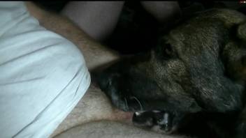 Dog deepthroating a guy's cock and eating his ass