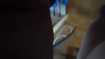 First-person view of licking vagina and adoring nipples like a dog