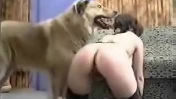 Hot chick in ebony nylons screws a filthy pup