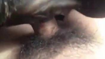 Hairy zoophile cunt getting fucked deeply and brutally