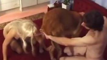 Hot blonde throats hubby's cock then fucks with a dog