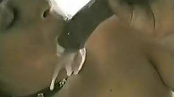Cheeky slut earns a huge facial from a big dicked horse