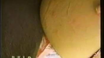 Classic animal sex film featuring an elegant blond lady