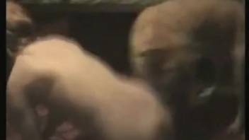 Sexy vixen pounded fervently by her filthy brute