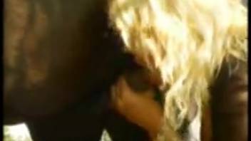 Blonde vixen bangs two hunks prior to screwing a well-endowed stallion