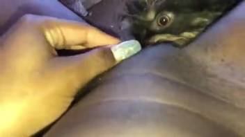 First-person view of eating out a turned-on black babe